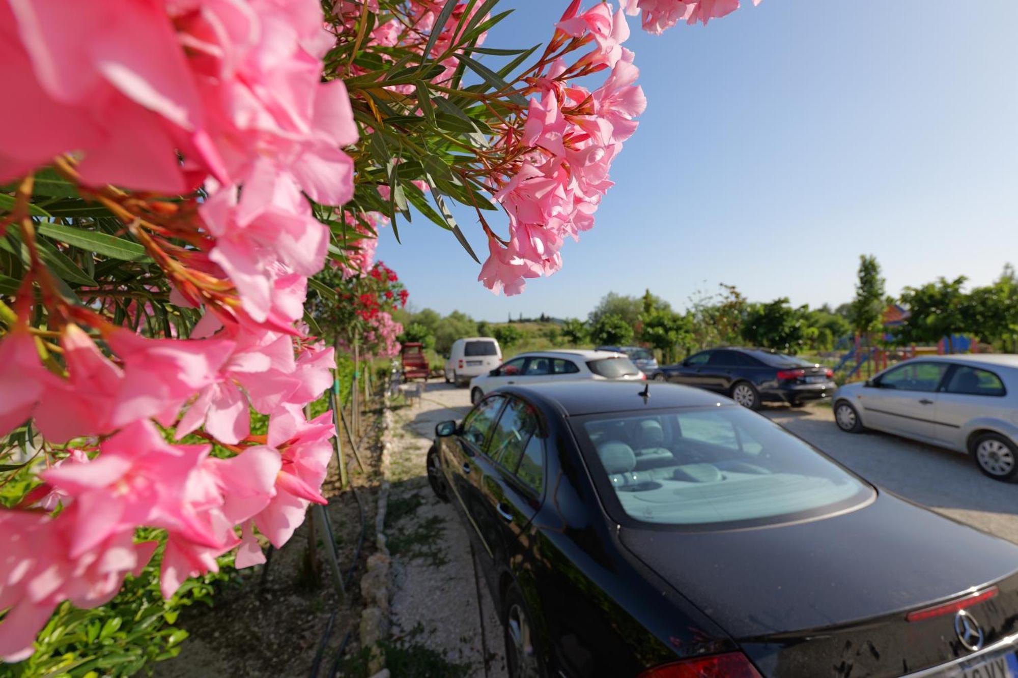 Mesopotam Agrotourism Resort Sarandë Eksteriør billede