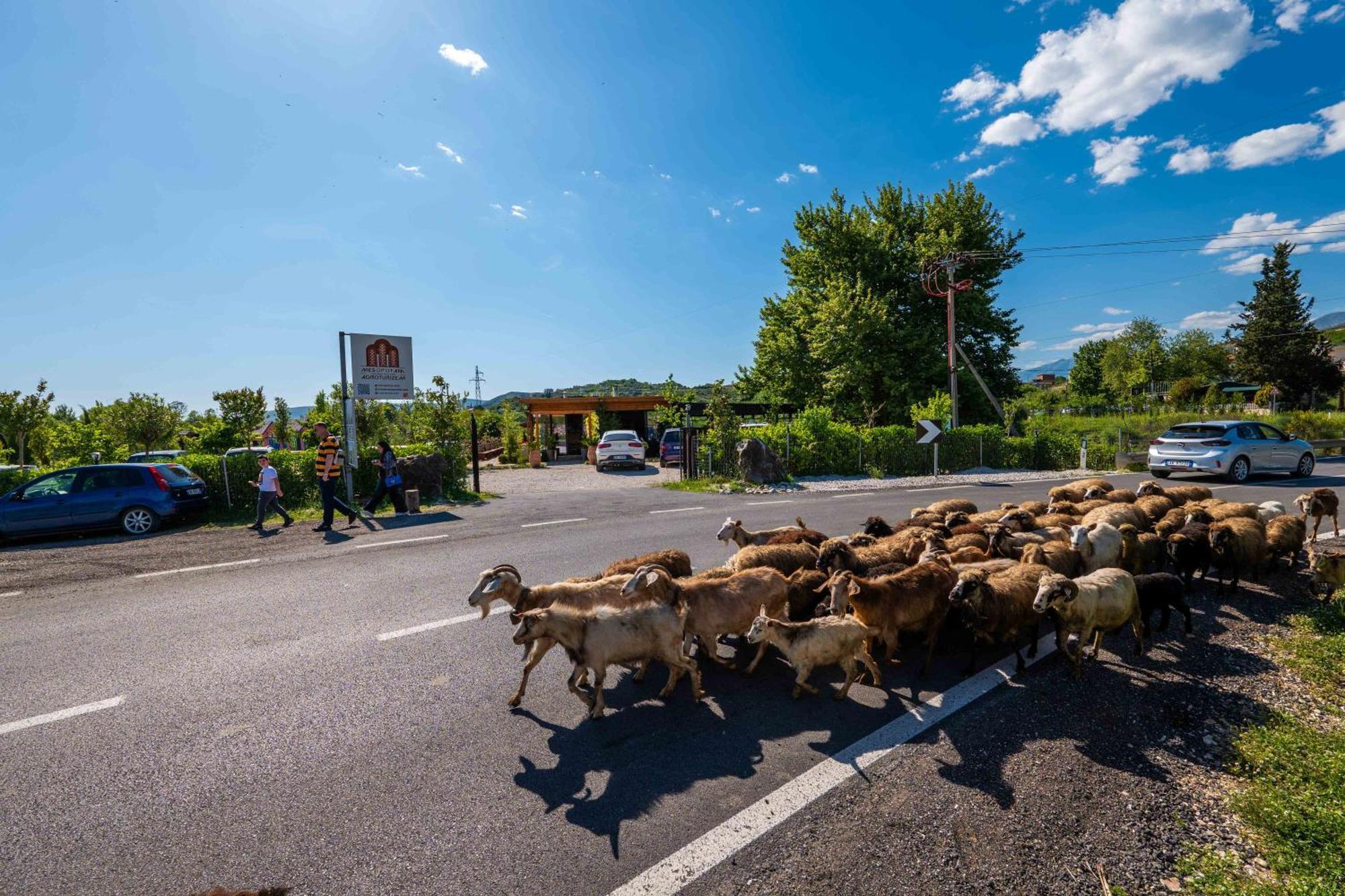 Mesopotam Agrotourism Resort Sarandë Eksteriør billede